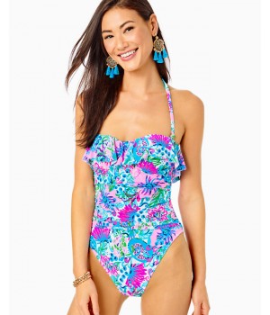 Rubyann One-Piece Swimsuit